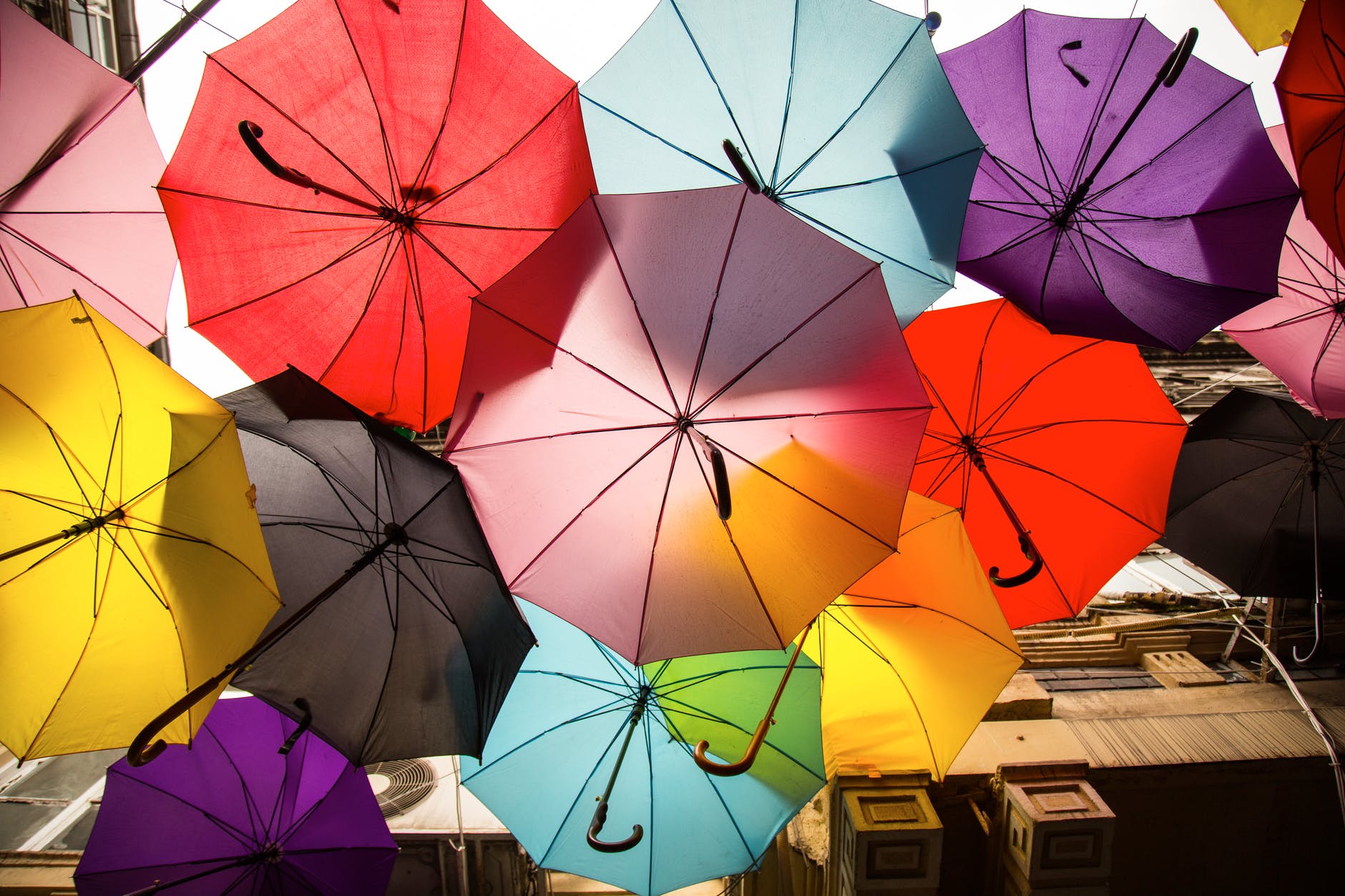 assorted color umbrellas